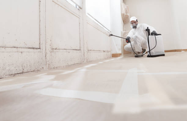 24/7 Emergency Black Mold Removal experts in Highland Park, PA